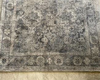 Area Rug 96 x 63in