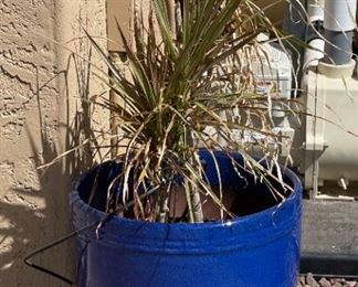 Ceramic Blue pot Planter with Plant Pot: 14in H x 16in diameter