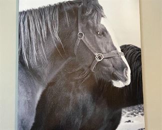 Kathryn McKechnie Horse Print on canvas 27.5x20x 1in HxWxD