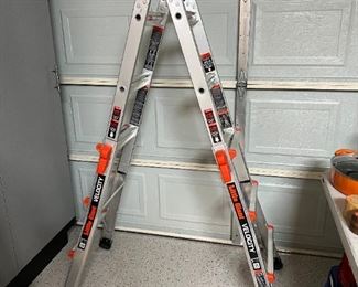 Little giant velocity ladder