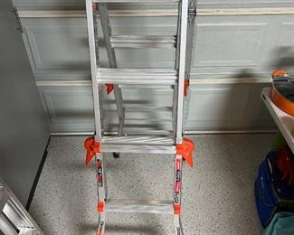 Little giant velocity ladder