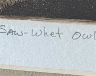 D. Medley Saw-Whet Owls Art Framed Frame: 16 x 18in Image: 7.5 x 9.5in