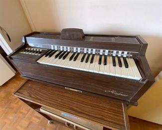 Magnus Organ 