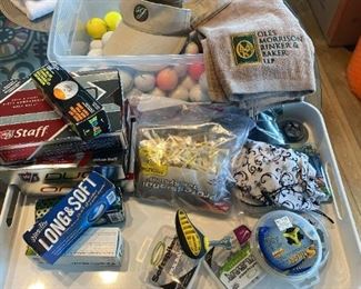 170 Golfing Essentials