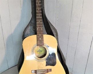 acoustic guitar