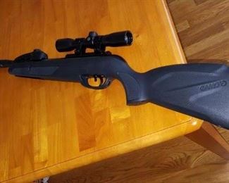 Gamo Swarm Whisper air ri&le