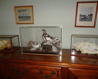 PTARMIGAN MOUNTS,  LION AND GRIZZLY BEAR SKULLS ON A BUFFET