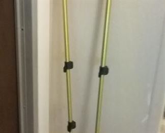 walking / ski poles