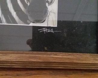artist signature on animal pictures