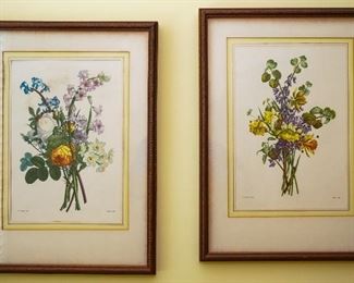Botanical prints