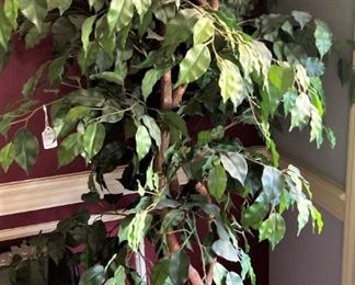 Artificial ficus