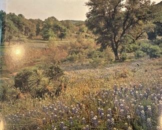 "Landscapes of Texas coffee table book