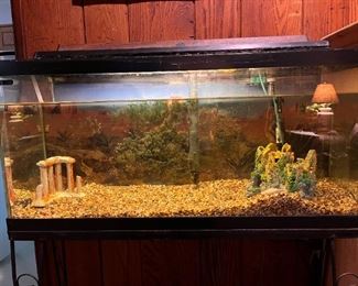 30 gallon fish tank