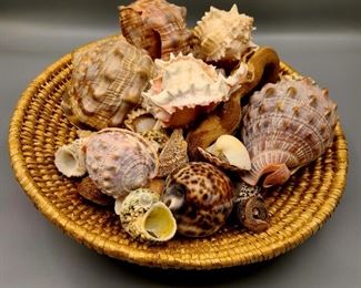 Basket of shells