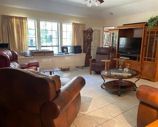 Another view of the den