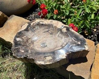 Large Petrified Wood Bowl