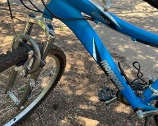 THe Mongoose is in good condition