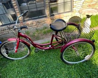 Another Schwinn Meridian 3 wheeler!
