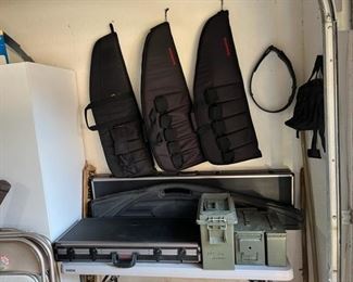 We have several gun cases.