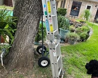 SAmmy like's this one.