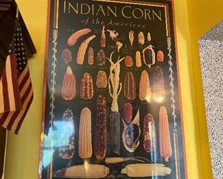 Indian Corn Poster Framed