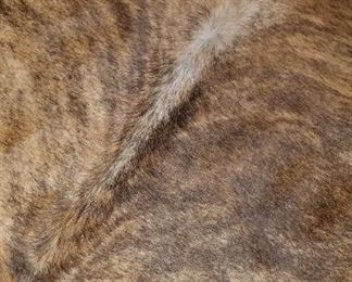 Longhorn cattle hide/rug from Ruidoso, New Mexico