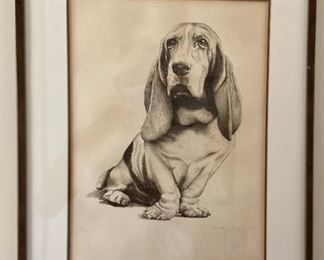 Fine Bassett Hound
