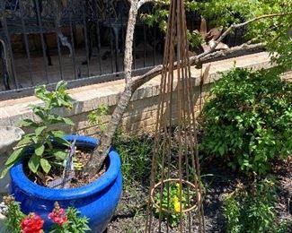 Huge Blue Ceramic Planter with Tree