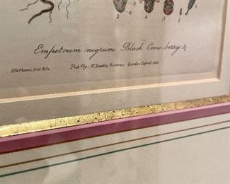 Foliage framed artwork