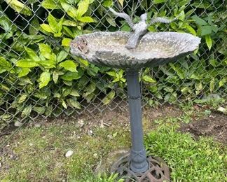 Bird Bath