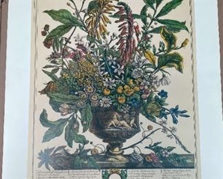 A Kaplan Co 12 Months Of Flowers 16x20 Calendar Posters