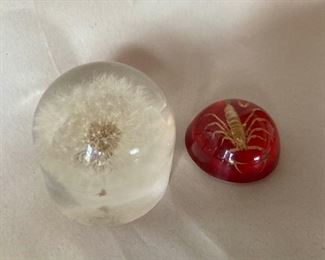 Dandelion and Scorpion in Resin