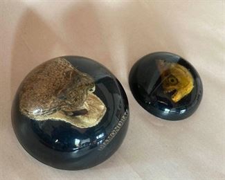 Diamondback Rattlesnake And Piranha In Resin