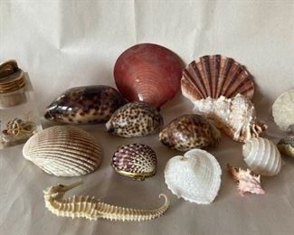 JP Frost Toppers Sea Lighter Tiger Cowrie Shells and Seahorse