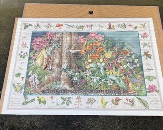 Northwest Woodland Wildflowers Framed Poster