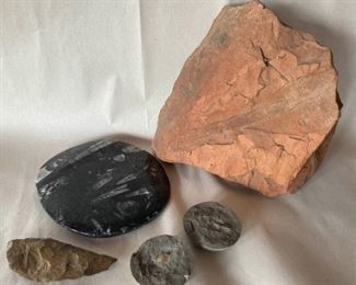 Orthoceras And Crab Fossils Carved Spear Point