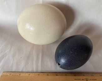 Ostrich And Emu Eggs