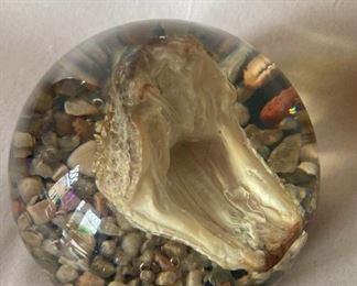 Rattlesnake Head In Resin