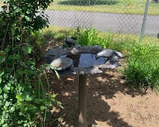 Bird Bath