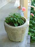 Nice and big concrete planter
