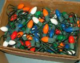 Next year you can transform your home into the Griswold's, too!