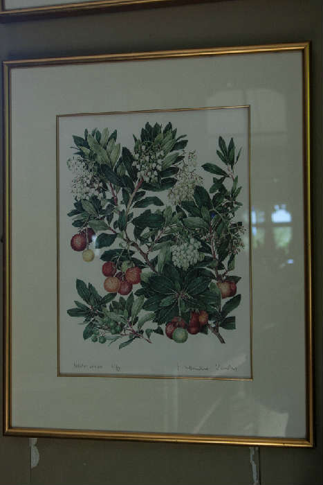 Botanical print