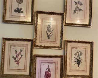 Set of botanicals of the months of the year 