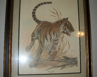 Bengal Tiger Lithograph