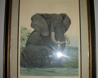 African Elephant Lithograph