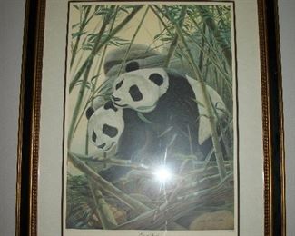 Giant Pandas Lithograph