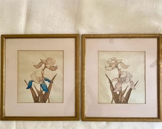 Handsketched Art - Sula Finger