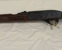 Remington Model Nylon 66 pt22 LR Only