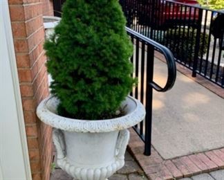 Painted Cast Iron Planter