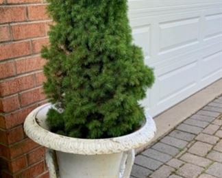 Painted Cast Iron Planter